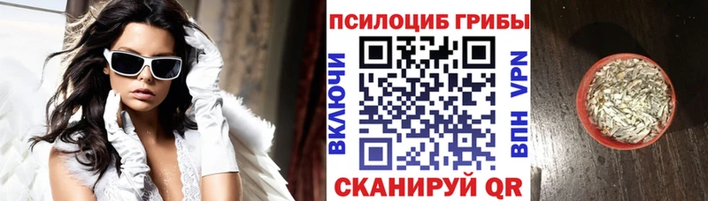 Псилоцибиновые грибы Magic Shrooms  Купить где  Сорочинск 