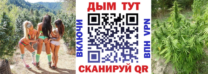 Купить  Сорочинск  Конопля Bruce Banner 